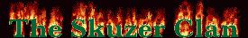 skz.gif