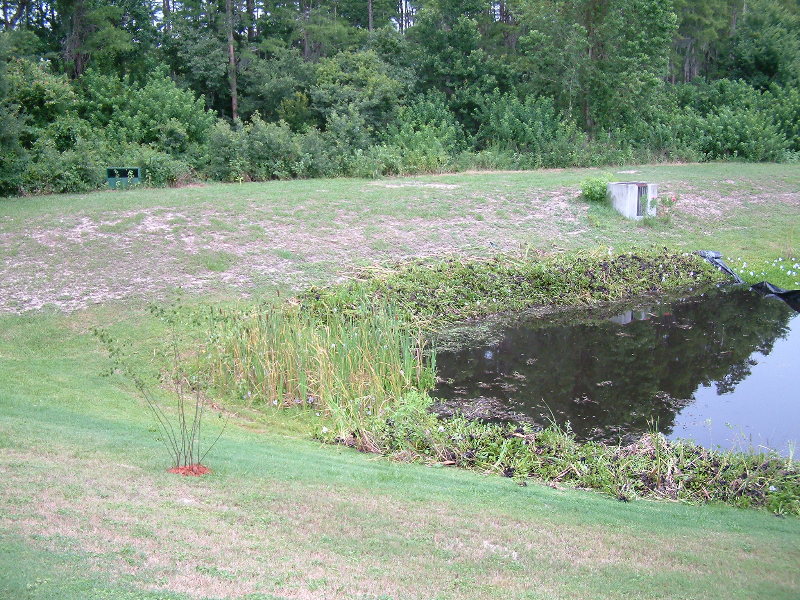 DSCF0001.jpg