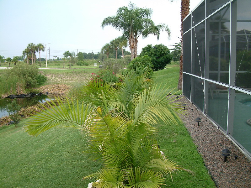 DSCF0040.jpg