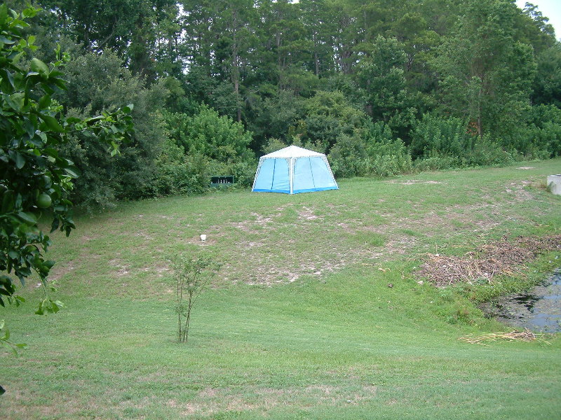 DSCF0041.jpg