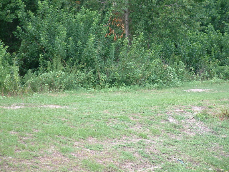DSCF0043.jpg