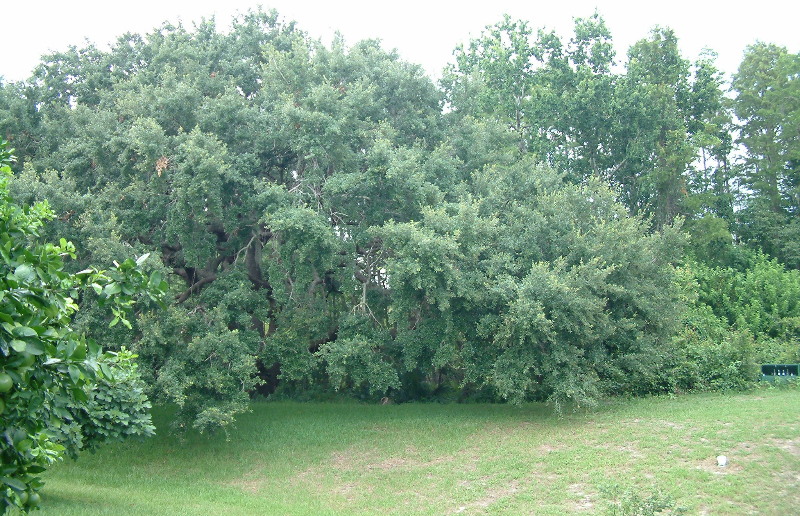DSCF0044.jpg